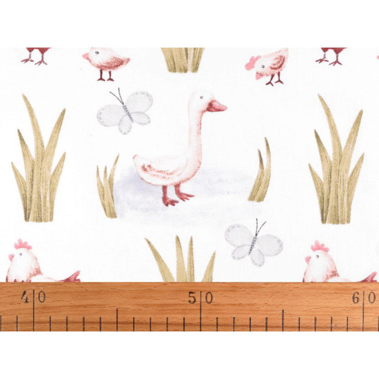 Cotton fabric / canvas, goose, chicken - White (1 Meter)