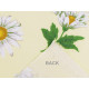 Cotton fabric / canvas, daisy - Creamy light (10 Meters)