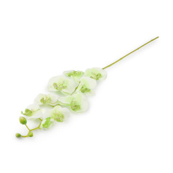 Artificial orchid long - Lightgreen (1 Piece)