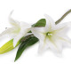 Gałązka sztuczna lilie - White (1 Sztuka)