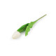 Artificial tulip - Cream lightest (1 Piece) Artificial tulip - Cream lightest (1 Piece)