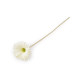 Gerbera sztuczna długa - Kremowyjasny (1 Sztuka)