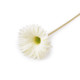 Gerbera sztuczna długa - Kremowyjasny (1 Sztuka)