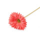 Gerbera sztuczna długa - Kremowyjasny (1 Sztuka)