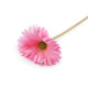 Gerbera sztuczna długa - Kremowyjasny (1 Sztuka)