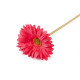 Gerbera sztuczna długa - Kremowyjasny (1 Sztuka)