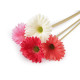 Gerbera sztuczna długa - Kremowyjasny (1 Sztuka)