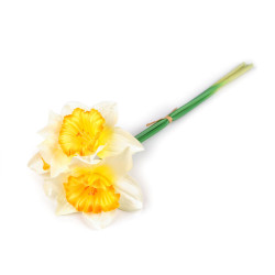 Artificial daffodil bundle of 3 pcs - Lightest yellow (1 Bunch)