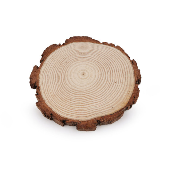 Natural wood tree branch slice / wood circle, for diy, ø14 - Ivory (1 Piece) Natural wood tree branch slice / wood circle, for diy, ø14 - Ivory (1 Piece)