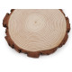 Natural wood tree branch slice / wood circle, for diy, ø14 - Ivory (1 Piece) Natural wood tree branch slice / wood circle, for diy, ø14 - Ivory (1 Piece)