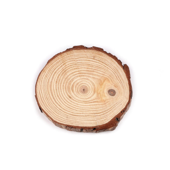 Natural wood tree branch slice / wood circle, for diy, ø16 - Ivory (1 Piece) Natural wood tree branch slice / wood circle, for diy, ø16 - Ivory (1 Piece)