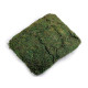 Dekoracyjny naturalny mech 250 g - Zielony (1 Torba) Dekoracyjny naturalny mech 250 g - Zielony (1 Torba)