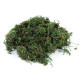Dekoracyjny naturalny mech 250 g - Zielony (1 Torba) Dekoracyjny naturalny mech 250 g - Zielony (1 Torba)